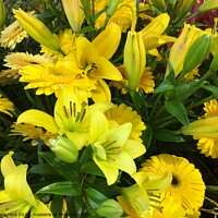 Buy canvas prints of Yellow lilies and daisy flowers by Joyce Hird