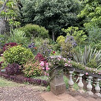 Buy canvas prints of Blandy's gardens Madeira by Joyce Hird