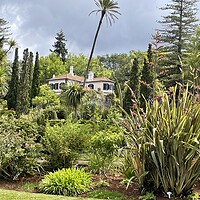 Buy canvas prints of Bandy's gardens Madeira by Joyce Hird
