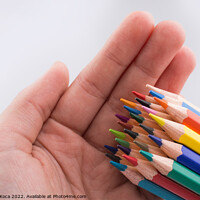 Buy canvas prints of Hand holding color  pencils by Turgay Koca