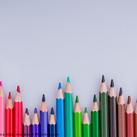 Buy canvas prints of  Color Pencils placed on a white background by Turgay Koca