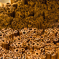 Buy canvas prints of Stack of  of Cinnamon sticks in view by Turgay Koca