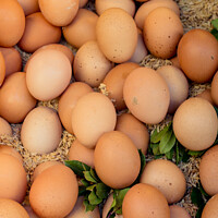 Buy canvas prints of Organic fresh farm eggs at the market by Turgay Koca