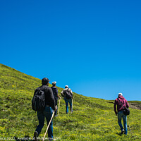 Buy canvas prints of hikers with backpacks and trekking poles walking in Artvin highl by Turgay Koca