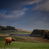 Buy canvas prints of hadrians wall by John Race