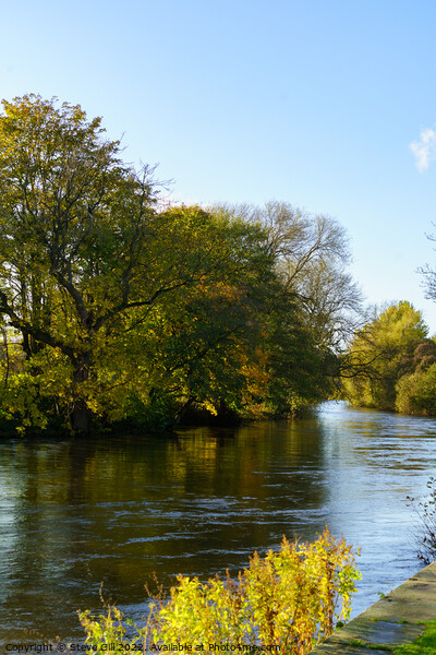 Sunny Autumn Day by a River. Picture Board by Steve Gill