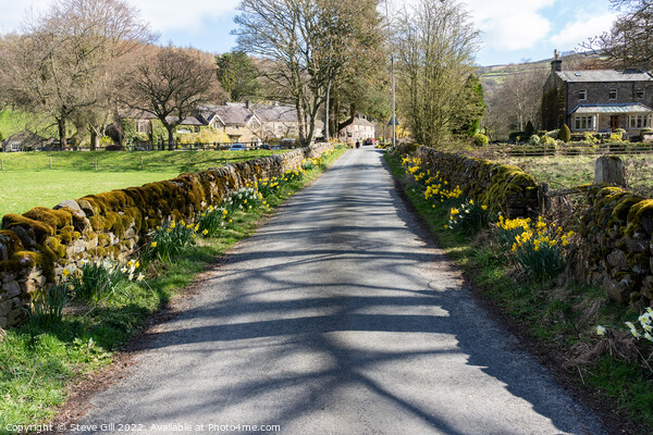 Quiet Countryside Road on a Beautiful Spring Day. Picture Board by Steve Gill