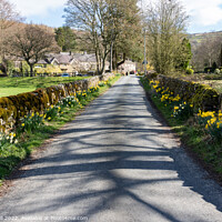 Buy canvas prints of Quiet Countryside Road on a Beautiful Spring Day. by Steve Gill