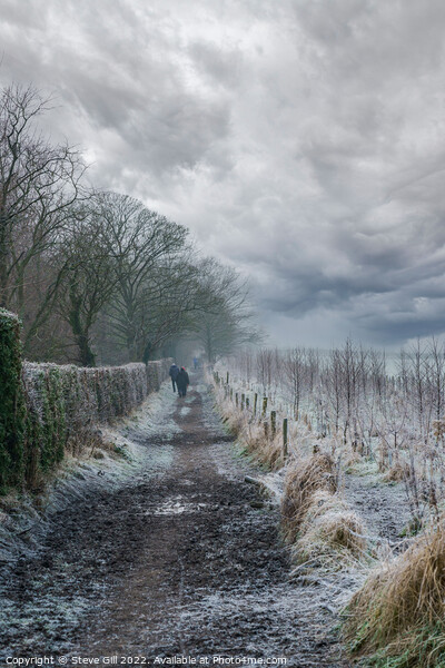 Ramblers Walking Along a Long Muddy Path on a Misty Winter Morning. Picture Board by Steve Gill