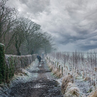 Buy canvas prints of Ramblers Walking Along a Long Muddy Path on a Misty Winter Morning. by Steve Gill