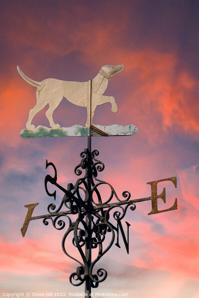 Ornamental Steel Weathervane Against an Evening Sky  Picture Board by Steve Gill