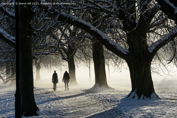 Two Women Walking a Dog on a Snowy Morning in the  Picture Board by Steve Gill