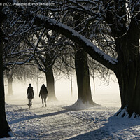 Buy canvas prints of Two Women Walking a Dog on a Snowy Morning in the  by Steve Gill