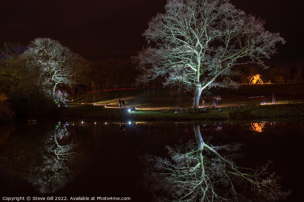White Floodlit Trees Reflecting on a Lake. Picture Board by Steve Gill