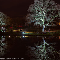 Buy canvas prints of White Floodlit Trees Reflecting on a Lake. by Steve Gill