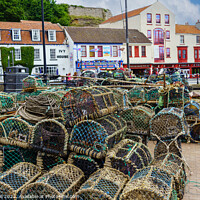 Buy canvas prints of Scarborough Lobster Pots.  by Steve Gill