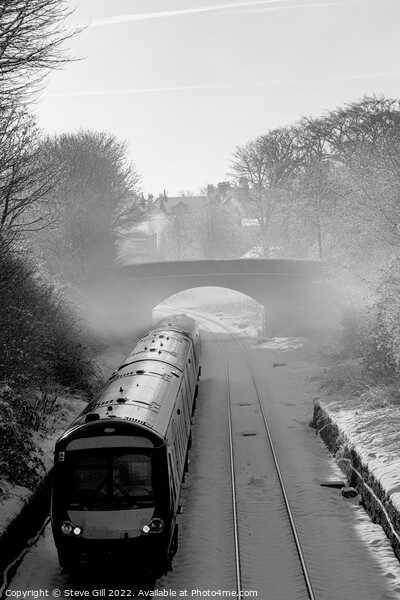 Diesel Train Leaving Harrogate on a Misty Winter Morning. Picture Board by Steve Gill
