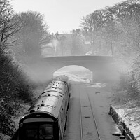 Buy canvas prints of Diesel Train Leaving Harrogate on a Misty Winter Morning. by Steve Gill