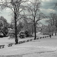 Buy canvas prints of Row of Seats Along a Snow Covered Park on a wintry January morning.  by Steve Gill