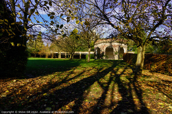 Autumn Sunlight Creating Long Shadows in a Public Park. Picture Board by Steve Gill