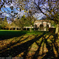Buy canvas prints of Autumn Sunlight Creating Long Shadows in a Public Park. by Steve Gill