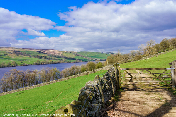Rural Trail Leading to a Closed Wooden Gate and Gouthwaite Reservoir Nature Reserve. Picture Board by Steve Gill
