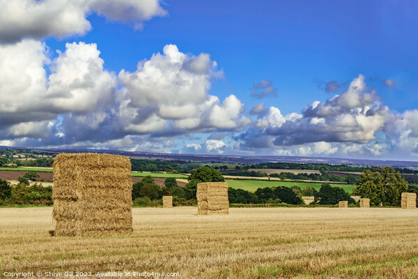 Large Hay Bales Waiting to be Harvested Under Ominous Summer Skies. Picture Board by Steve Gill
