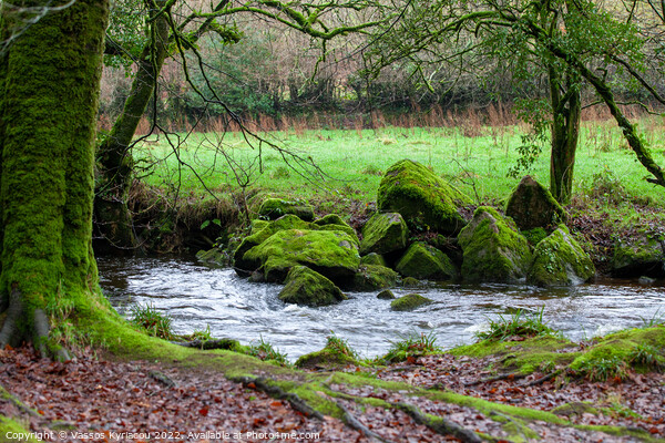 Golitha Falls River Fowey Cornwall in England Picture Board by Vassos Kyriacou
