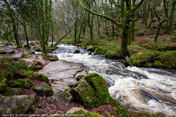 Golitha Falls River Fowey in Cornwall England Picture Board by Vassos Kyriacou