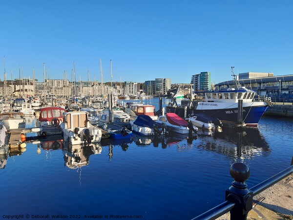 Sutton Harbour Marina, Plymouth Picture Board by Deborah Watson