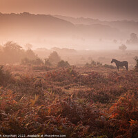 Buy canvas prints of New Forest Sunrise by Sarah Kingshott