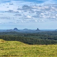 Buy canvas prints of Glass House Mountains Maleny Lone Tree Hill by Julie Gresty