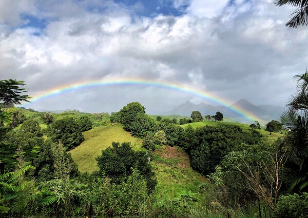Rainbow over Mount Warning  Picture Board by Julie Gresty