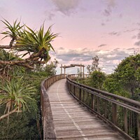Buy canvas prints of Boardwalk to Coolum Lookout at Sunset by Julie Gresty