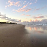 Buy canvas prints of Pink Clouds at Sunset reflecting on Coolum Beach Queensland by Julie Gresty