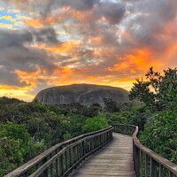 Buy canvas prints of Stormy Sunset over Mount Coolum by Julie Gresty