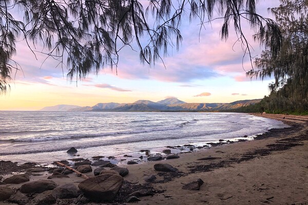 Pink Sunrise over Port Douglas Queensland Picture Board by Julie Gresty