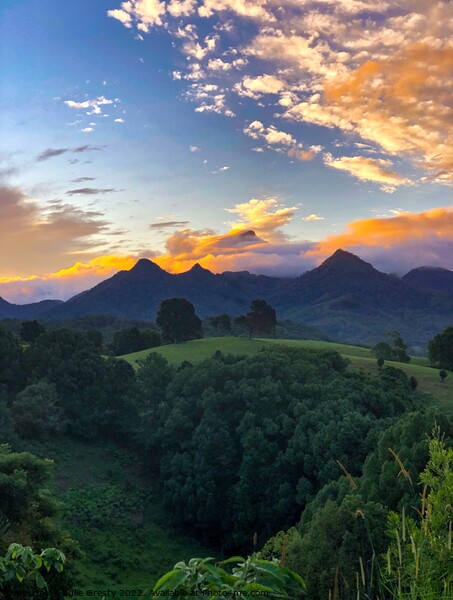 Sunset Over Mount Warning Picture Board by Julie Gresty