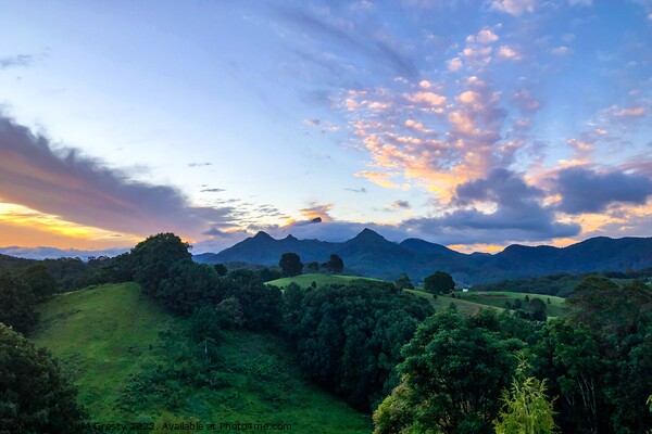 Sunset over Mount Warning Picture Board by Julie Gresty