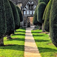 Buy canvas prints of Painswick Village Church and Yew Trees by Julie Gresty