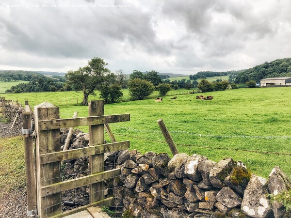 Yorkshire Dales Farm Gate and Drystone Wall Picture Board by Julie Gresty