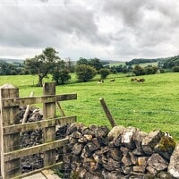 Buy canvas prints of Yorkshire Dales Farm Gate and Drystone Wall by Julie Gresty