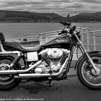 Buy canvas prints of Harley Davidson Dyna by RJW Images