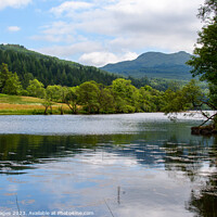 Buy canvas prints of Sparkling Loch Eck by RJW Images