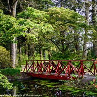 Buy canvas prints of The Pond Benmore Gardens by RJW Images