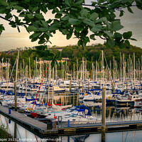 Buy canvas prints of Busy Day at Kip Marina  by RJW Images