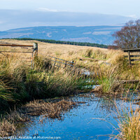 Buy canvas prints of Cornalees and Greenock Cut by RJW Images