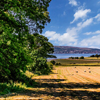 Buy canvas prints of Scottish Landscape from Ardardan Estate by RJW Images