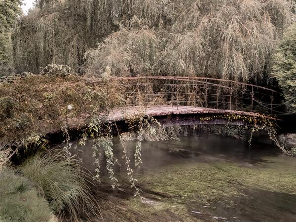 Rustic Bridge and Willow  Picture Board by Kate Lake