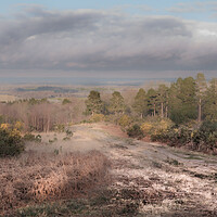 Buy canvas prints of Ashdown Forest Vista by Kate Lake